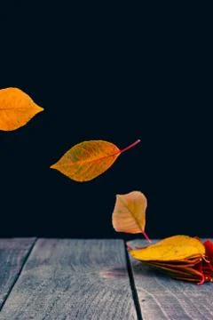 Orange-red abstraction Stock Photos