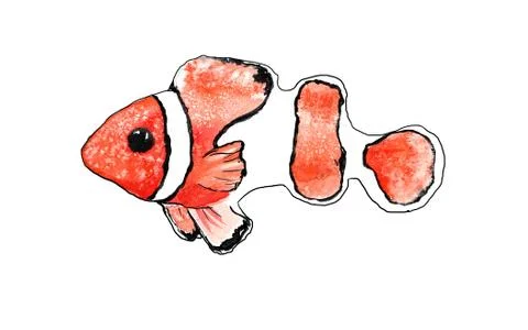 Orange-red clown fish on a white background Stock Illustration