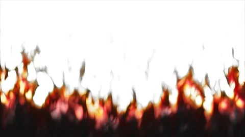 Orange Red Fire Flames Border on White Background Loop Stock Footage 340408761