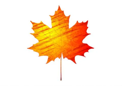 Orange red grunge maple leaf abstract background Stock Illustration