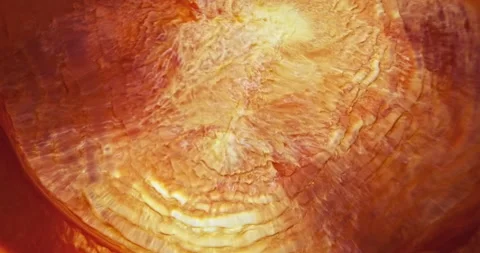 Orange red paints abstract explosion close-up. Hypnotic current liquid ink 스톡 동영상 200916140