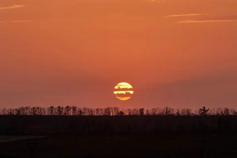 Orange-red sunset and landscape with raw of trees. Sun is cut across by cloud Stock Photos