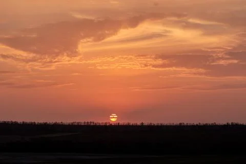 Orange-red sunset and landscape with raw of trees. Sun is cut across by cloud Stock Photos