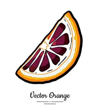 Orange red vector isolated. Red orange cut chopped half round slices. Fruit h Stock Illustration