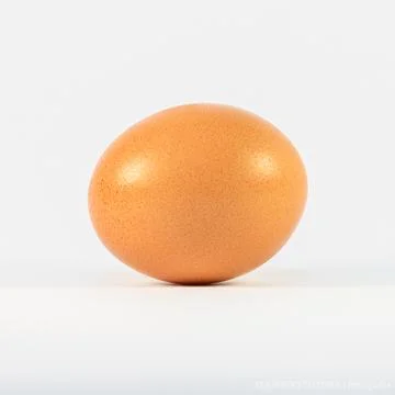 An orange redneck egg with a white background Stock Photos