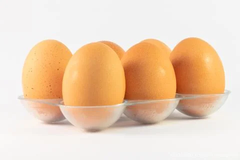 Orange redneck egg with a white background Stock Photos
