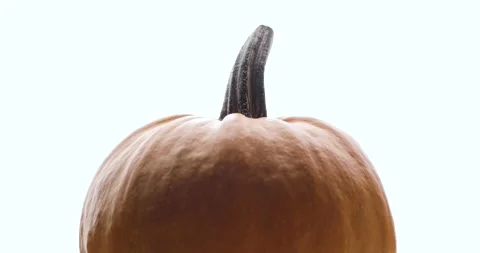 Orange ripe pumpkin on a white background, spinning. Close-up. Stock Footage 159220873