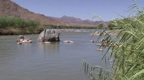 Orange river in the Richtersveld.  Stock Footage 16563434