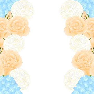 Orange Rose, Blue Hydrangea and White Ranunculus Border Stock Illustration