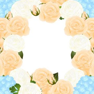 Orange Rose, Blue Hydrangea and White Ranunculus Border2 Stock Illustration
