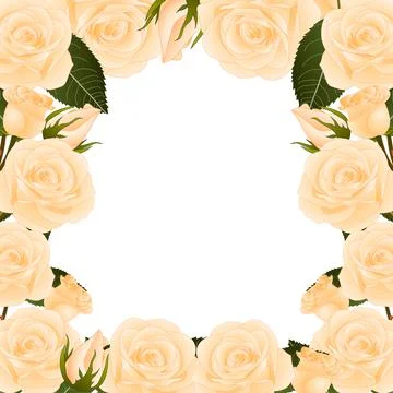 Orange Rose Border2 Stock Illustration