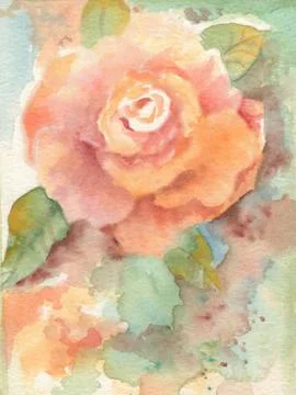 Orange Rose Stock Illustration