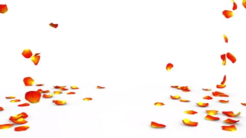 Orange rose petals flying on the floor on both sides Stock Footage 85906916