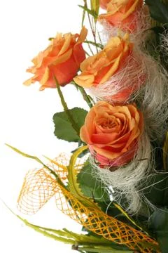 Orange rose Stock Photos