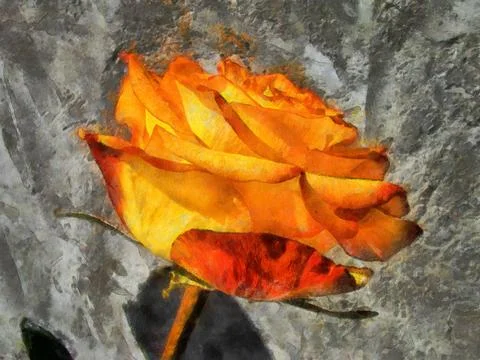 Orange roses digital painting effect Stock Illustration