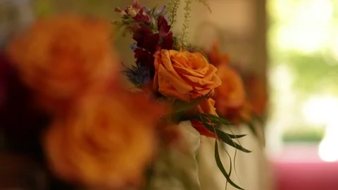 Orange roses Stock Footage 104784855