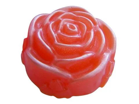 Orange roses Stock Photos