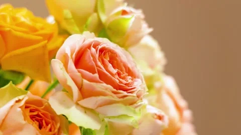 Orange Roses Swaying in Wind, Copy Space, Healing Nature Vídeos de archivo 333604190