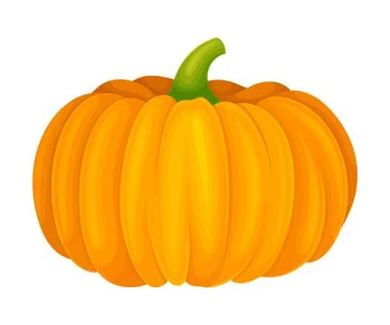Orange Round Pumpkin with Smooth, Slightly Ribbed Skin Vector Illustration Illustrazione stock