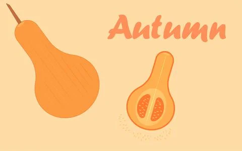Orange round pumpkins Stock Illustration