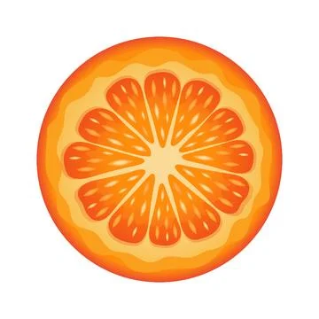 Orange round slice. Half an orange. Juicy fruit isolated on white Stock Illustration