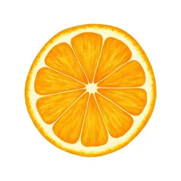 Orange round slice. Vector realistic illustration isolated on white background Stock Illustration