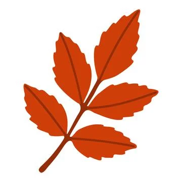 Orange Rowan Branch Isolated Vector Element Flat Style Graphic Stock Illustration