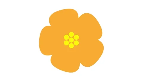 Orange sakura white Stock Footage 239368442