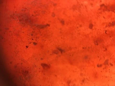 Orange Salt Stock Photos