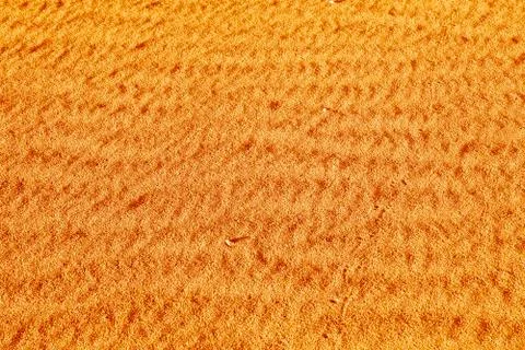 Orange sand. background Stock-Fotos