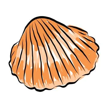 Orange scallop sea shell with ribbed texture vector illustration 스톡 일러스트