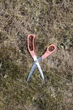 Orange scissors in garden Stock Photos
