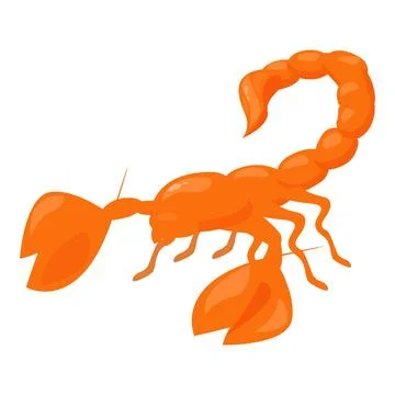 Orange scorpion with its claws open and stinger raised Stock Illustration