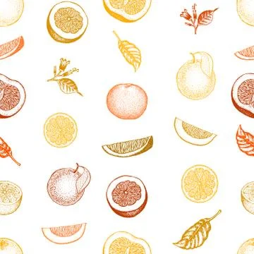 Orange seamless pattern. Hand drawn vector fruit background. Engraved style Stock Illustration