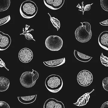 Orange seamless pattern. Hand drawn vector fruit background. Engraved style イラスト素材