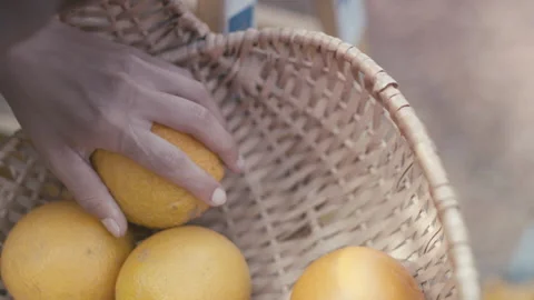 Orange Season Stock Footage 156967747