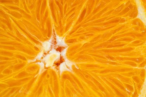 Orange in section. Macro close Stock Photos