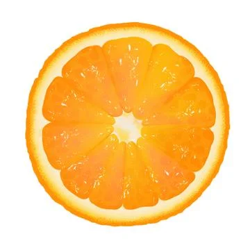 Orange segment Illustrazione stock