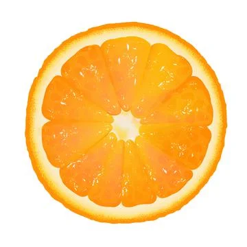 Orange Segment Stock Illustration