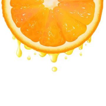 Orange Segment With Juice Stock Illustration
