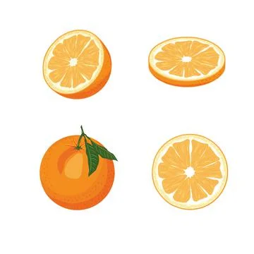 Orange. Set of fresh whole, half, sliced orange fruits isolated on white back Stock Illustration