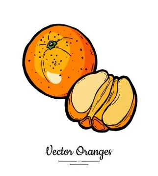 Orange set vector isolated. Whole half peeled cut oranges. Fruits collection  Stock Illustration