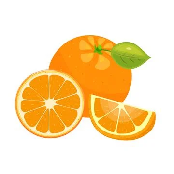 Orange. Set with whole, slice and wedge of orange on white background. Tropical Stock Illustration