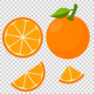Orange set2 Stock Illustration