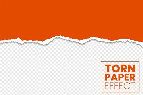 Orange sheet ripped torn paper effect on transparent background vector Stock-Illustration