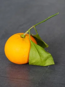 Orange sheets Stock Photos