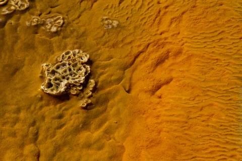 Orange Silt Stock Photos
