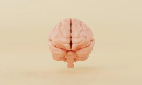 Orange simple mind brain model on yellow background. Medical science health.. Stock Illustration