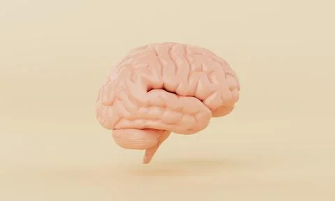 Orange simple mind brain model on yellow background. Medical science health.. Illustrazione stock