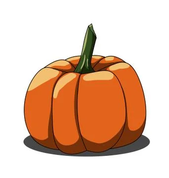 Orange single pumpkin isolated on white bakcground Stock Illustration